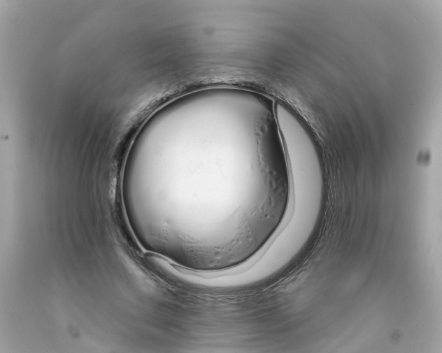 X0000091090683200709041303