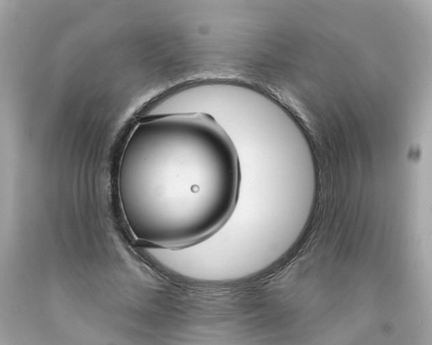 X0000091090684200709041303