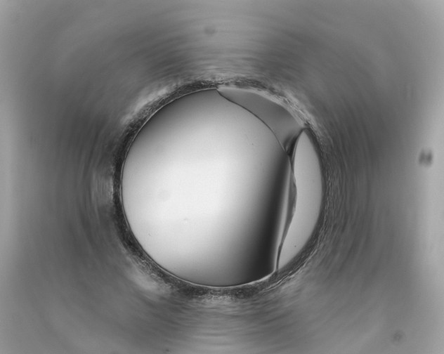X0000091090685200709041303