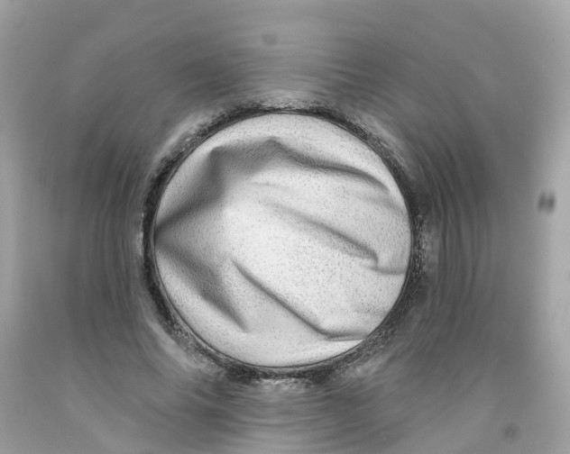 X0000091090686200709041303