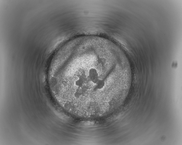X0000091090687200709041303