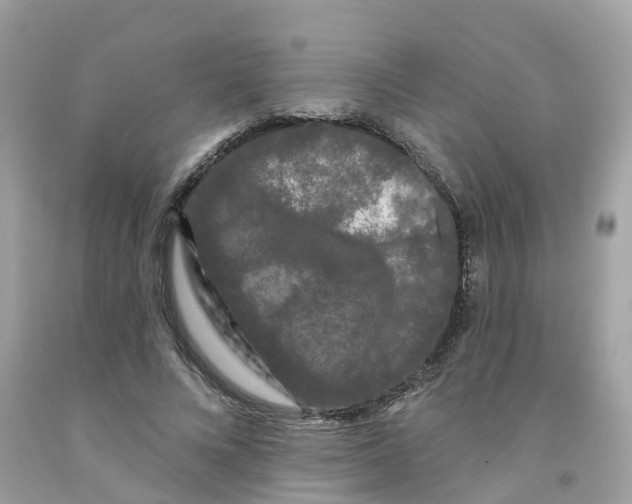 X0000091090688200709041303