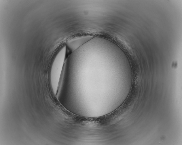 X0000091090689200709041303