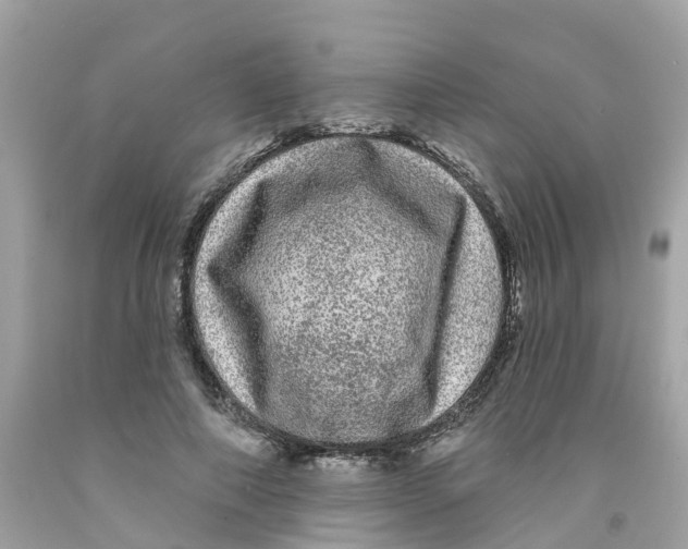 X0000091090690200709041303