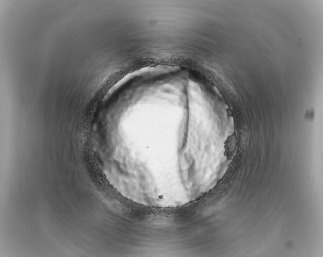 X0000091090691200709041303