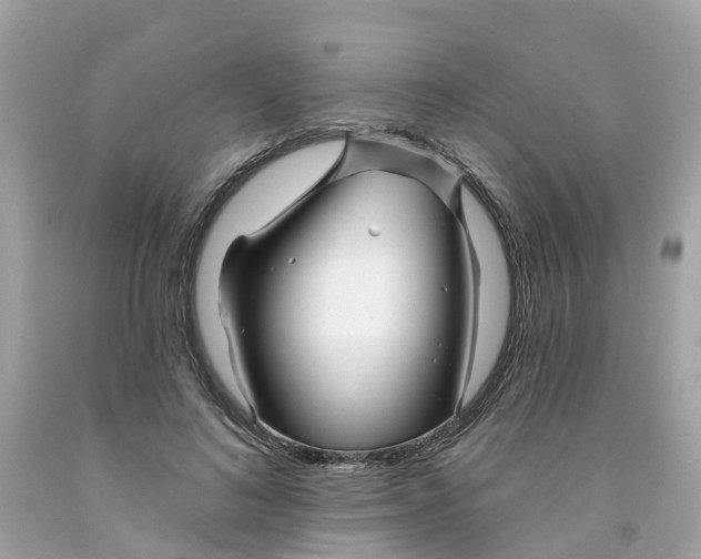 X0000091090692200709041303