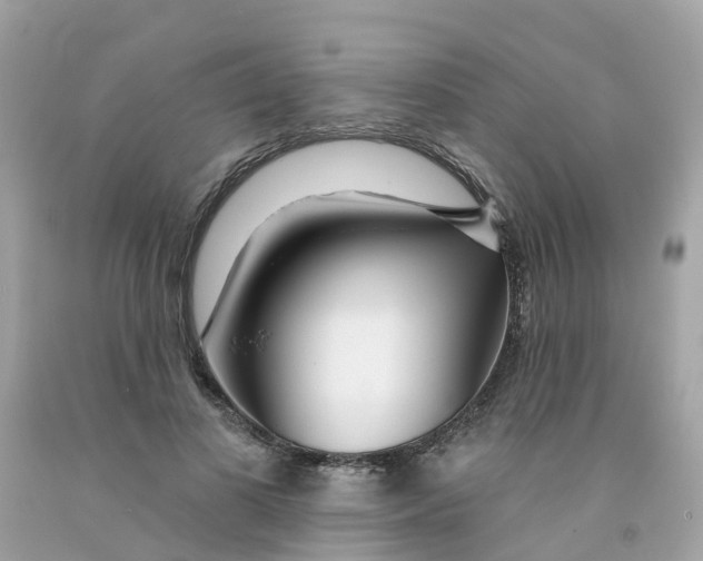 X0000091090693200709041303