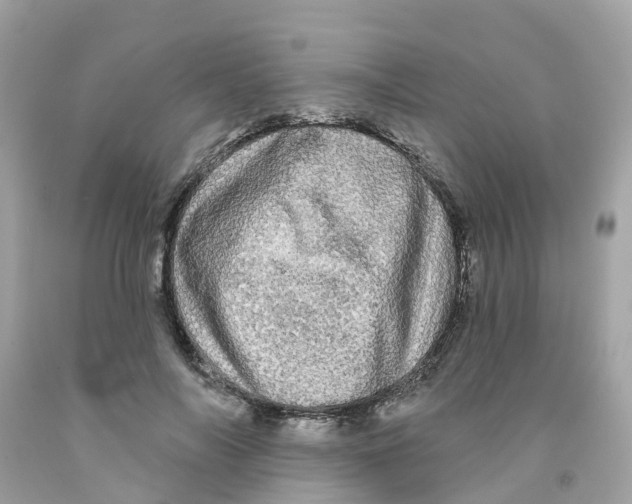 X0000091090694200709041303