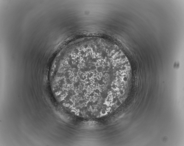 X0000091090695200709041303