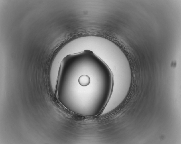 X0000091090696200709041303