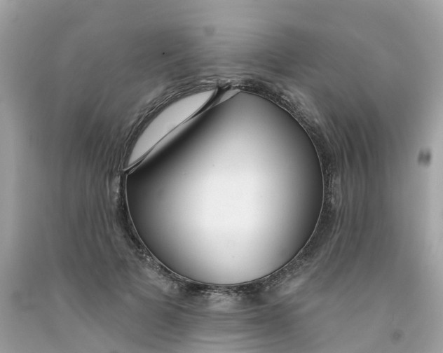 X0000091090697200709041303