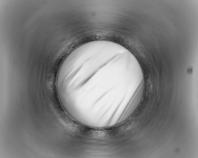 X0000091090698200709041303