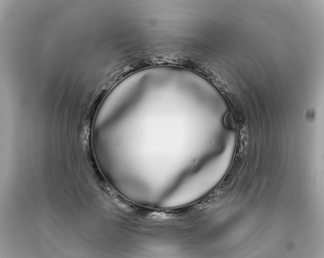 X0000091090699200709041303