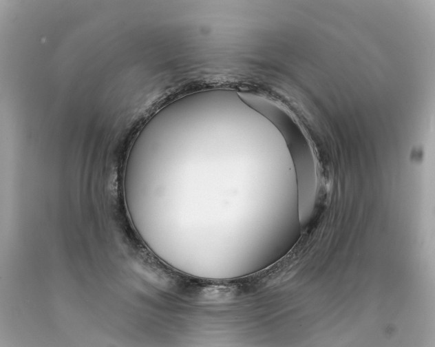 X0000091090700200709041302