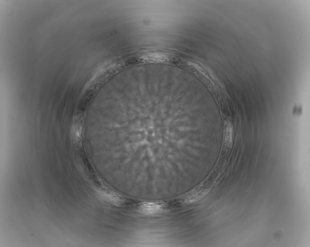X0000091090701200709041302
