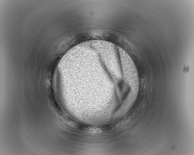X0000091090702200709041302