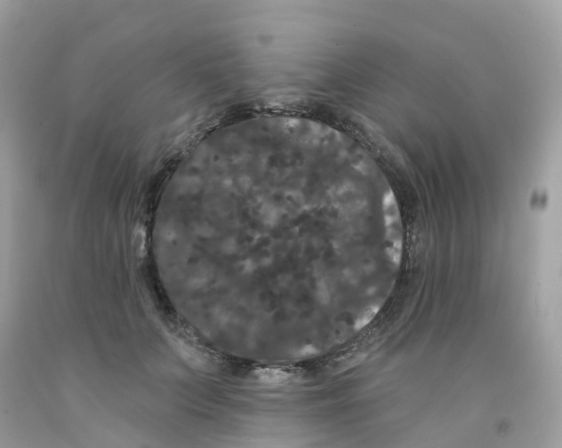 X0000091090703200709041302