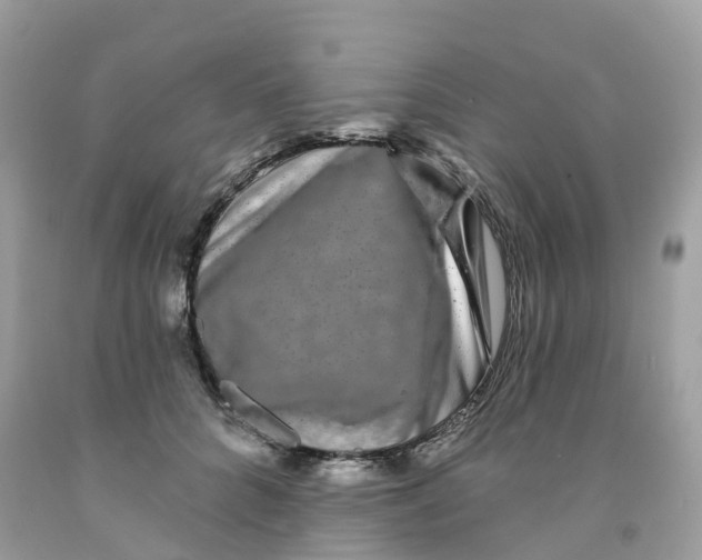 X0000091090704200709041302
