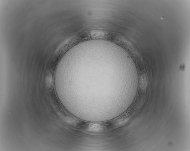 X0000091090705200709041302