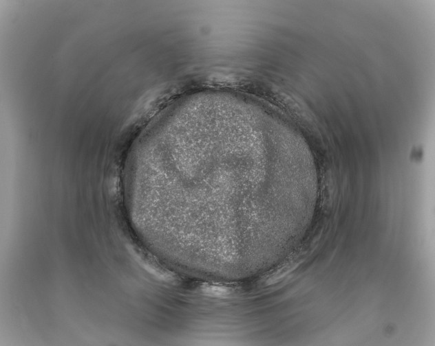 X0000091090706200709041302