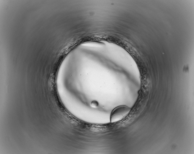 X0000091090707200709041302