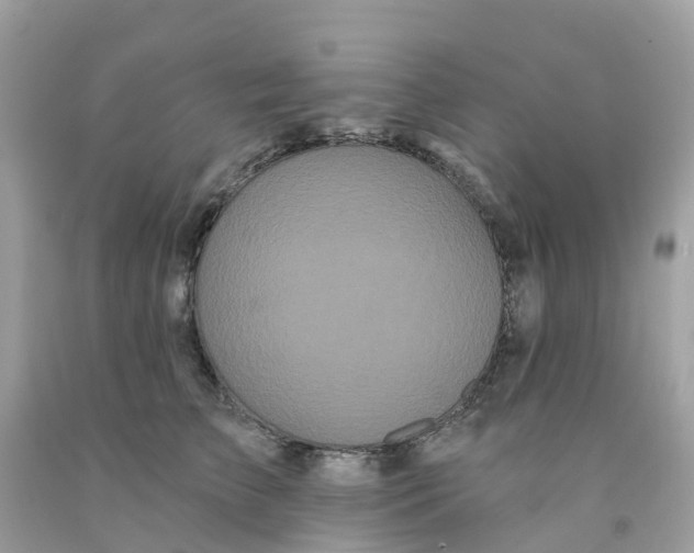 X0000091090709200709041302