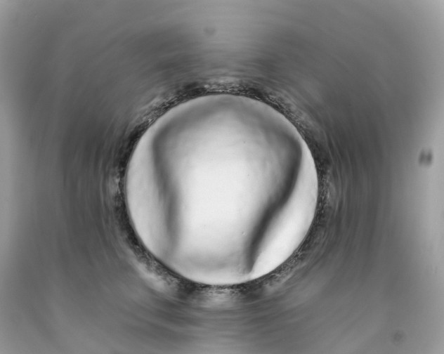 X0000091090711200709041302