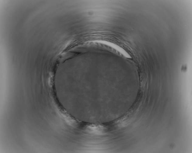 X0000091090712200709041302