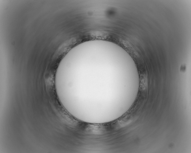 X0000091090713200709041302