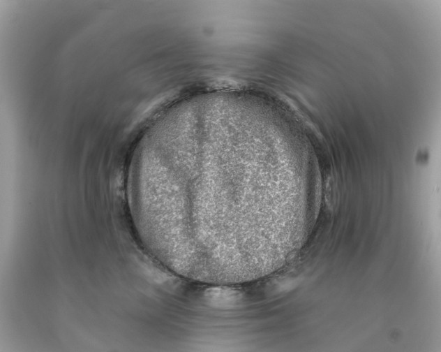 X0000091090714200709041302