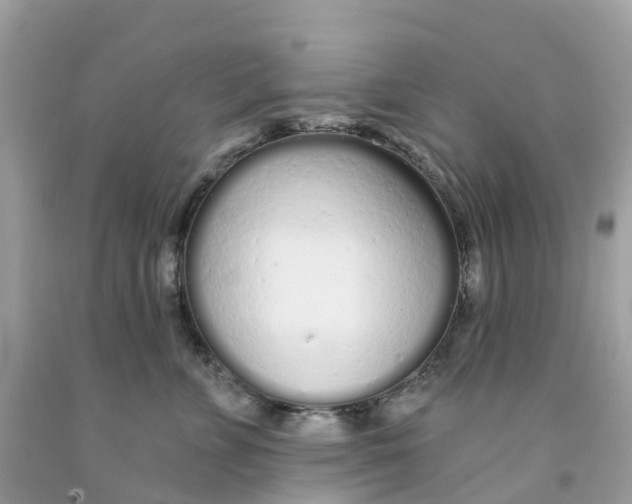 X0000091090715200709041302
