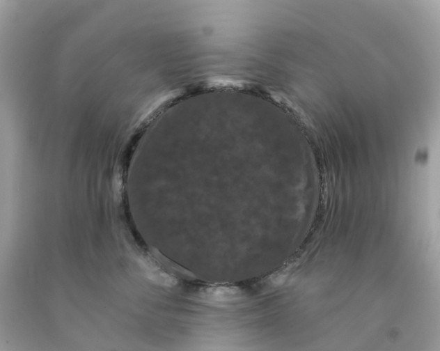 X0000091090716200709041302