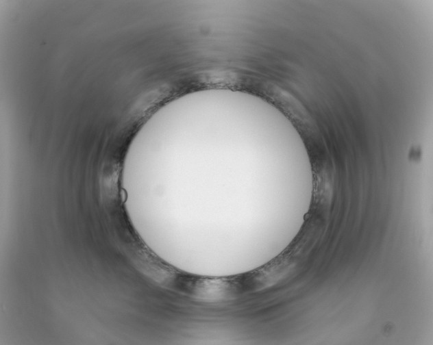 X0000091090717200709041302