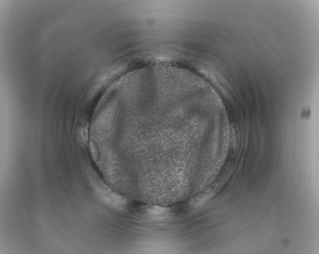X0000091090718200709041302
