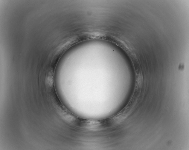 X0000091090719200709041302