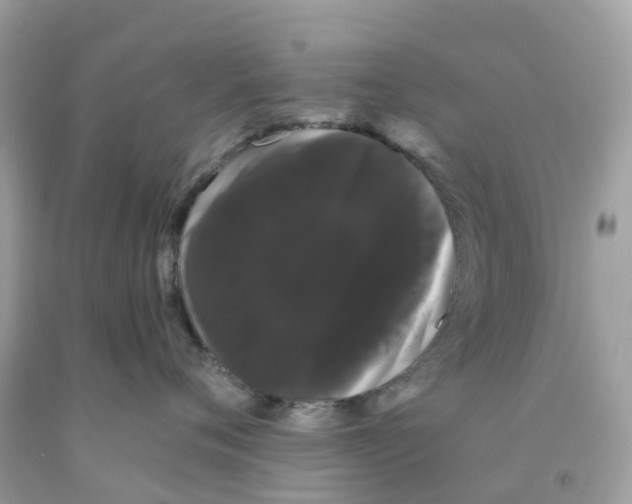 X0000091090720200709041302