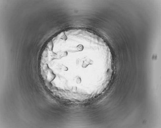 X0000091090721200709041301