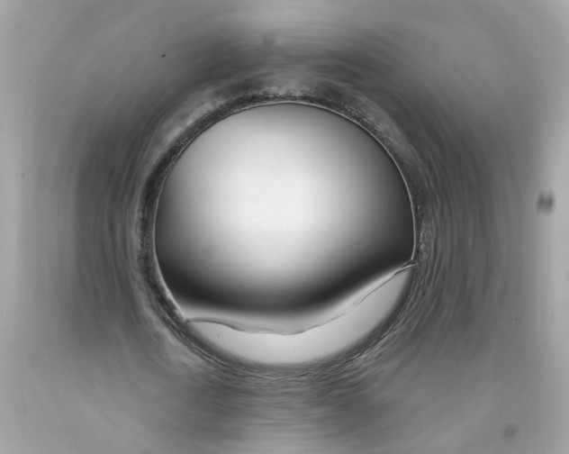 X0000091090722200709041301
