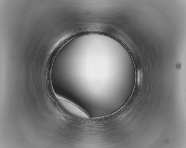 X0000091090723200709041302