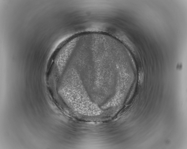X0000091090724200709041302