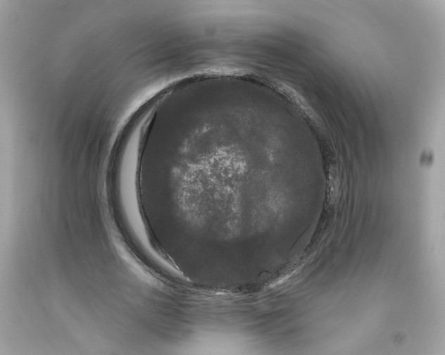 X0000091090726200709041302