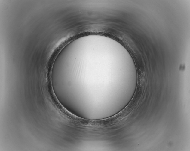 X0000091090727200709041302