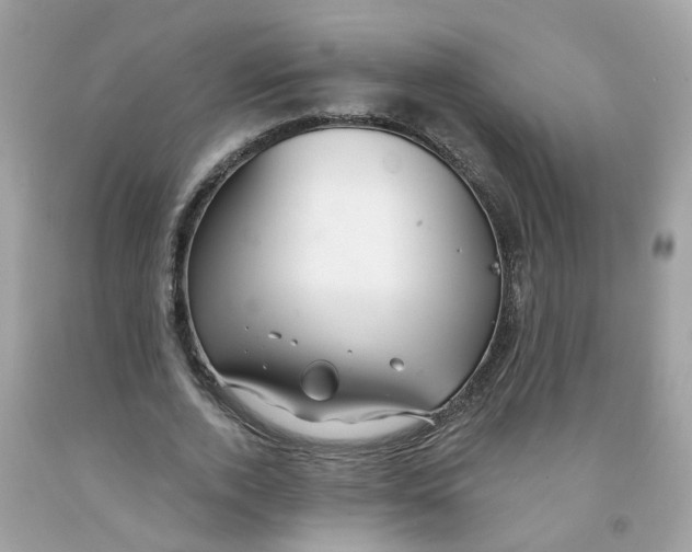 X0000091090728200709041302
