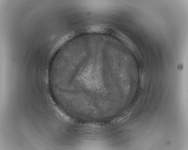 X0000091090729200709041302