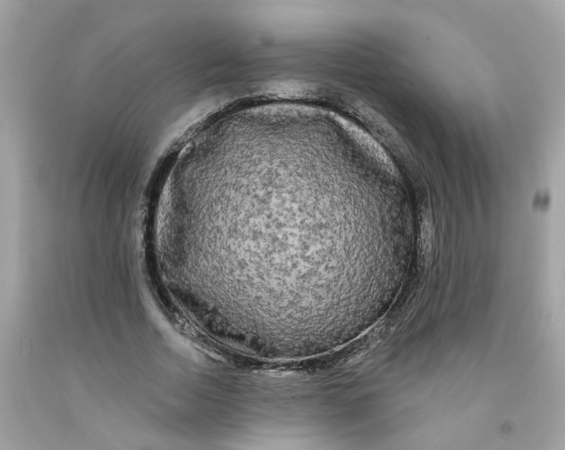 X0000091090730200709041302