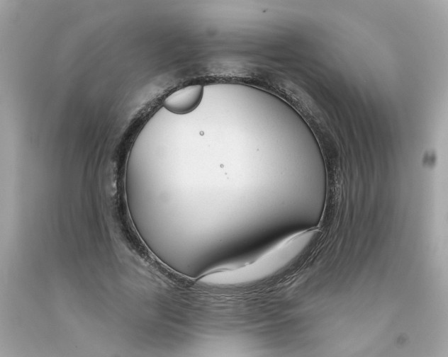 X0000091090731200709041302