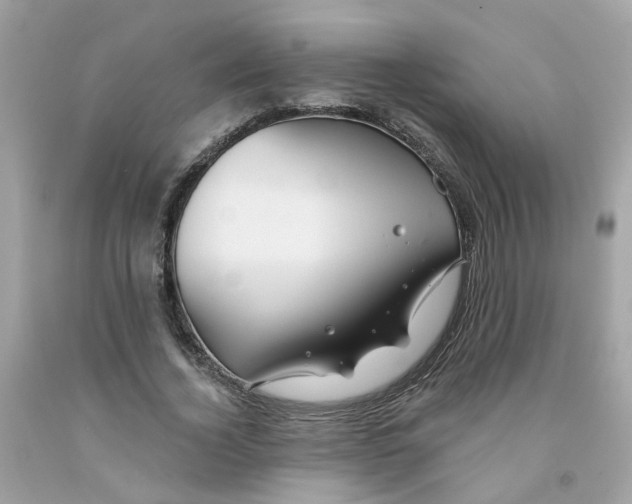 X0000091090732200709041302