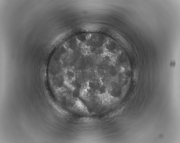 X0000091090733200709041302
