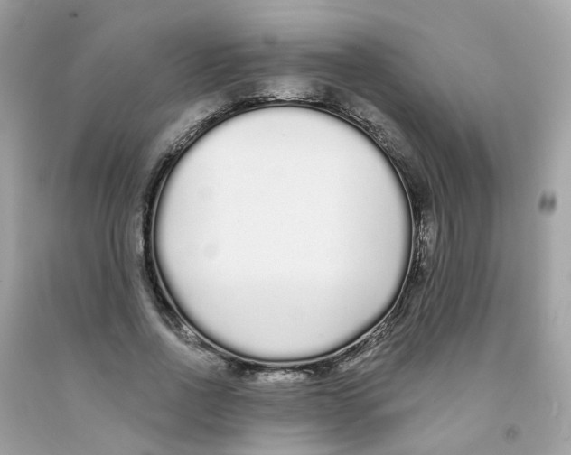 X0000091090734200709041302