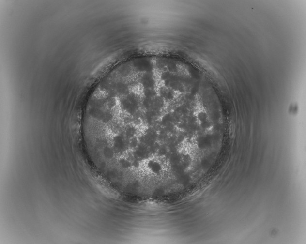 X0000091090737200709041302